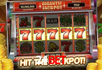 24bet - User Statistics